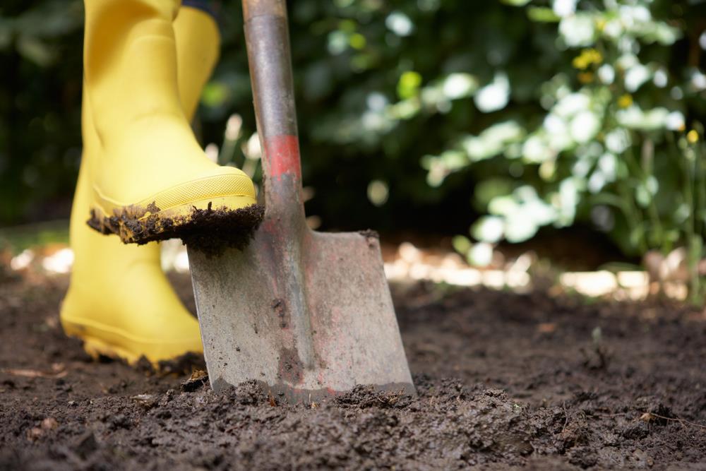How To Fix Clay Soil 