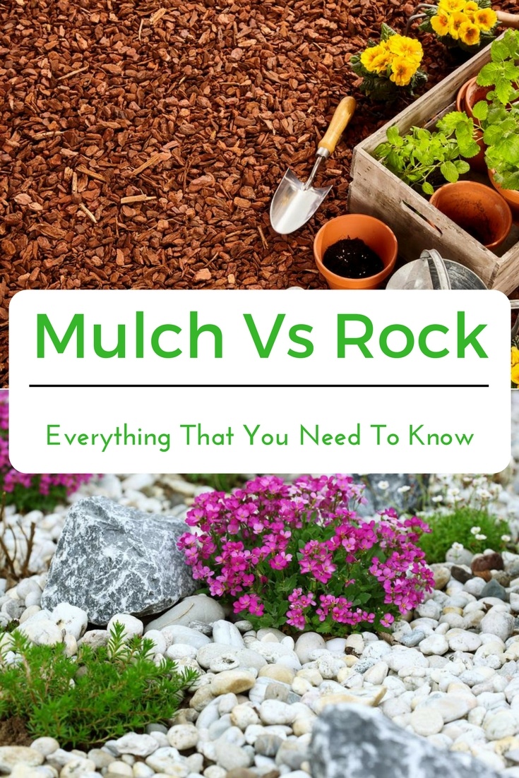 Did you know the mulch and rock have their respective differences? Are you one of the gardeners who are confused as to which to use? Familiarize yourself with mulch and rock by reading the provided information below. #mulch #rock #mulchvsrock #agreenhand