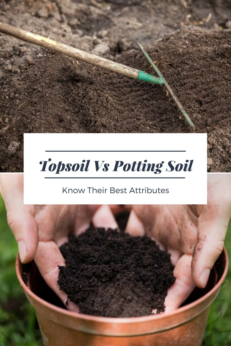 Topsoil vs Potting Soil: Know their best attributes