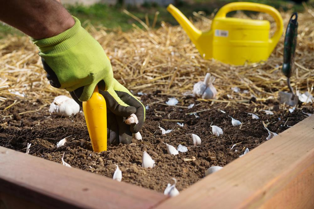 how to fix clay soil