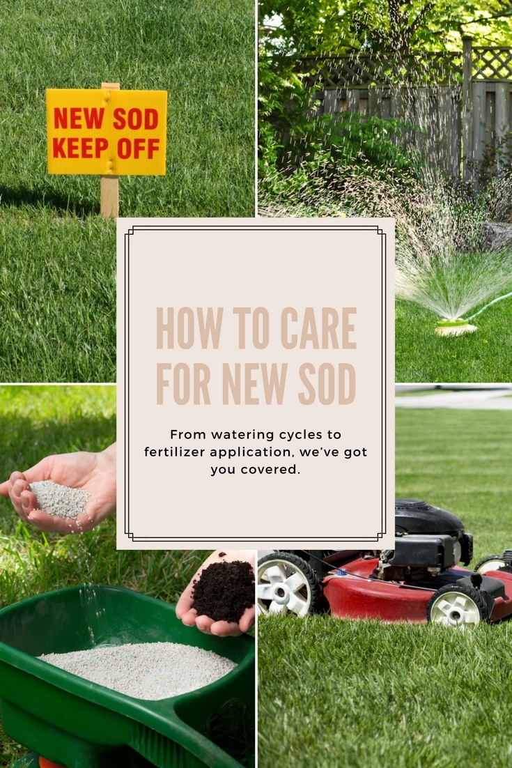 How To Care For New Sod