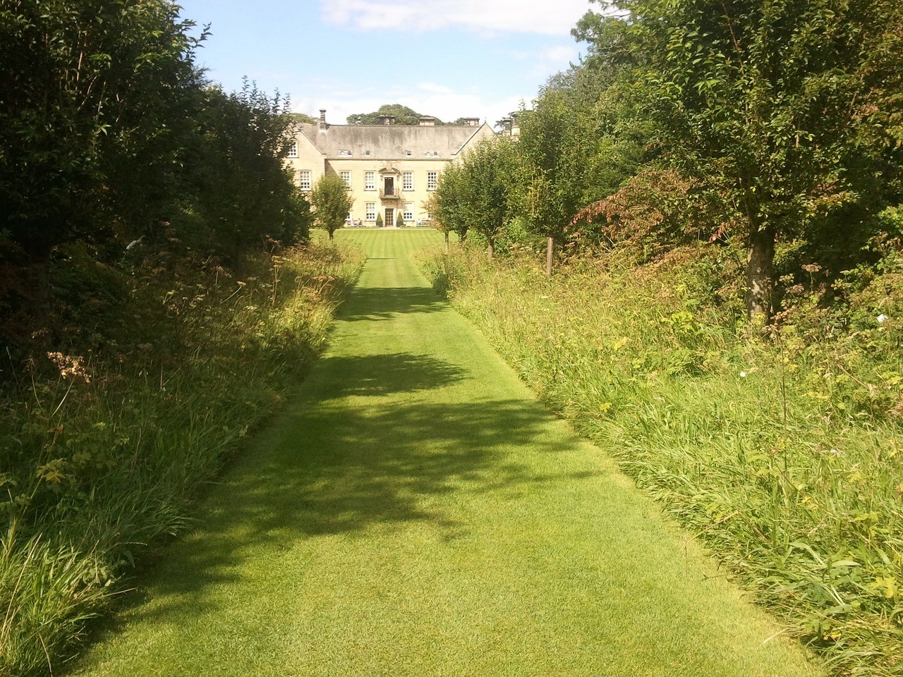 Garden Path Ideas: Grass Pathway