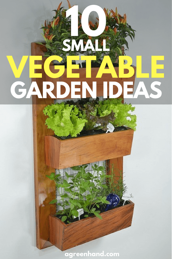 There are certainly many ways to maximize your space for growing vegetables. Whether you utilize windowsill gardening or vertical gardening, we hope that this inspired you to start your own vegetable garden.