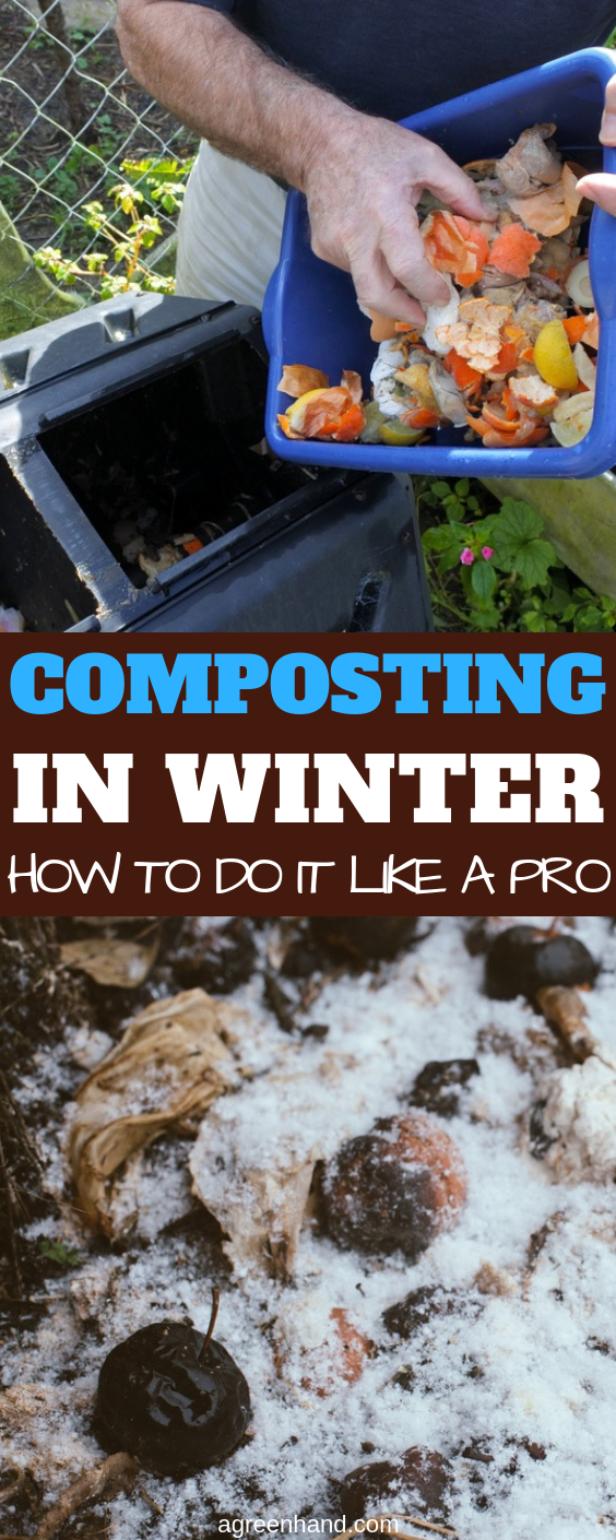 Keeping your compost active in winter can keep your kitchen scraps useful. The compost you make will also give you abundant reserve so that you're ready when springtime comes. Plus, it's a good winter workout! #composting #compost #compostinginwinter #agreenhand