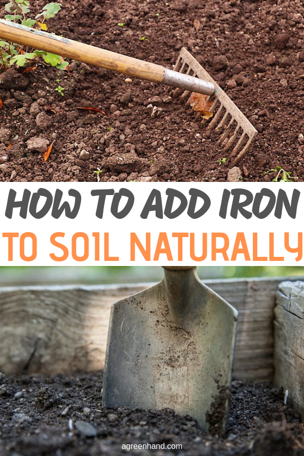 how to add iron to soil