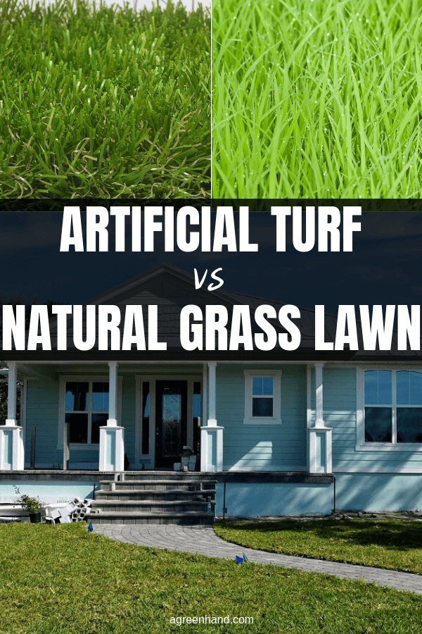Residential artificial grass offers less lawn care- no mowing or watering. Plastic grass lawns are ever green, but does sod or faux grass leave more money in a wallet?