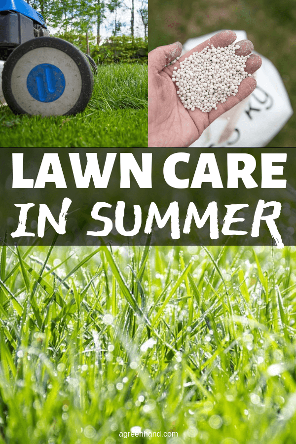 Summer is the peak season of the year for enjoying the lawn and garden. Some attention is required to efficiently maintain lawn health. #agreenhand #lawncare #summer