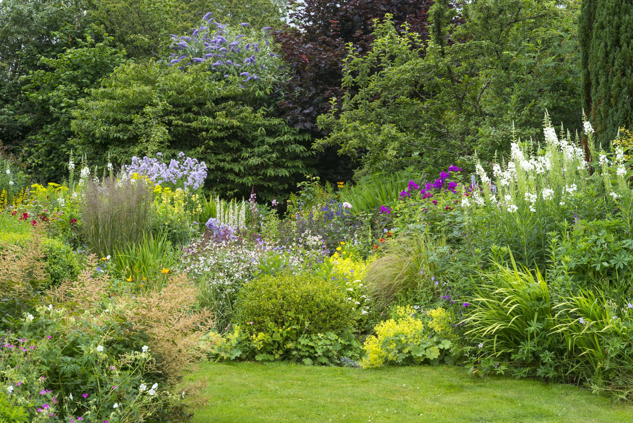 How To Plant an English Garden