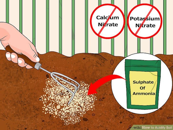 Acidifying with Iron Sulfate and Ammonia Fertilizers