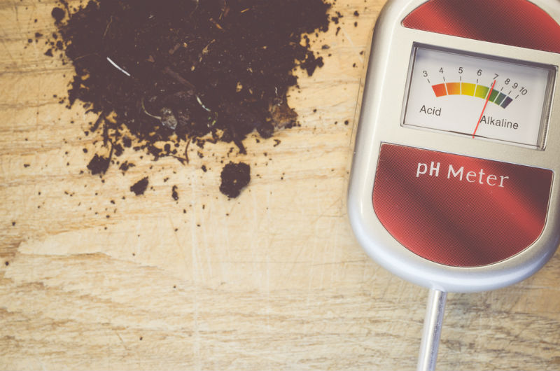 Understanding PH and Soil Acidity
