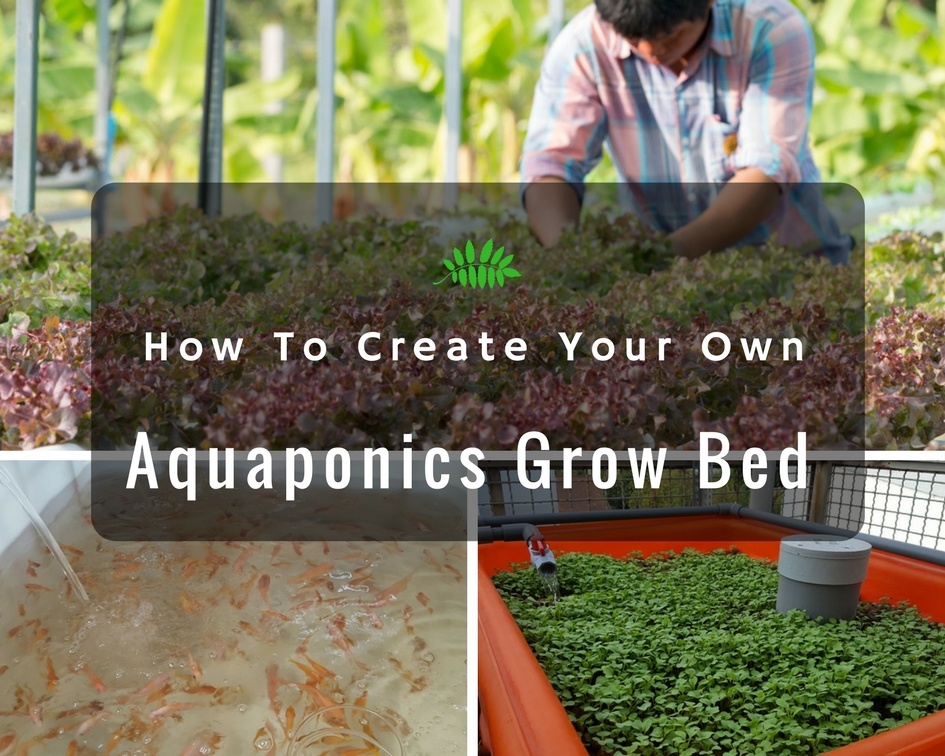 how to get the best aquaponics grow bed for your system