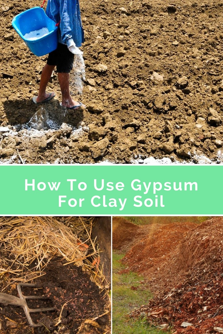 gypsum for clay soil