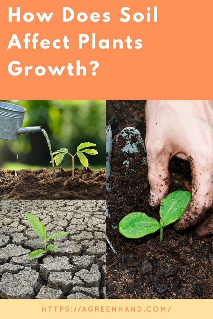 how-does-soil-affect-plant-growth-a-green-hand