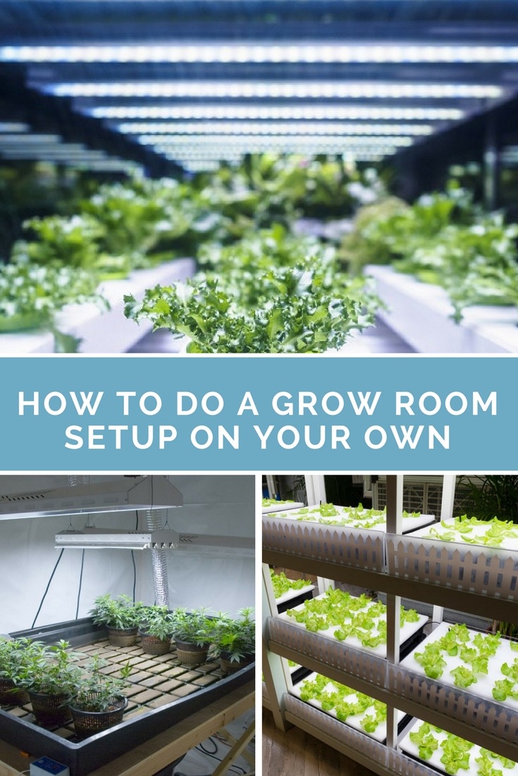 Now, having your own grow room will take time due to extensive planning. Still, this is better than making unwise decisions that could hamper plant growth in the long run. Here, we’ll guide you to making the best grow room setup for your indoor garden.​