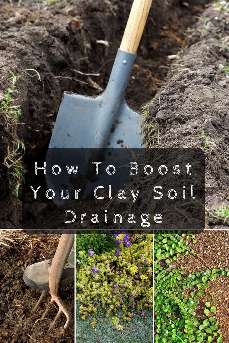 how to improve clay soild drainage