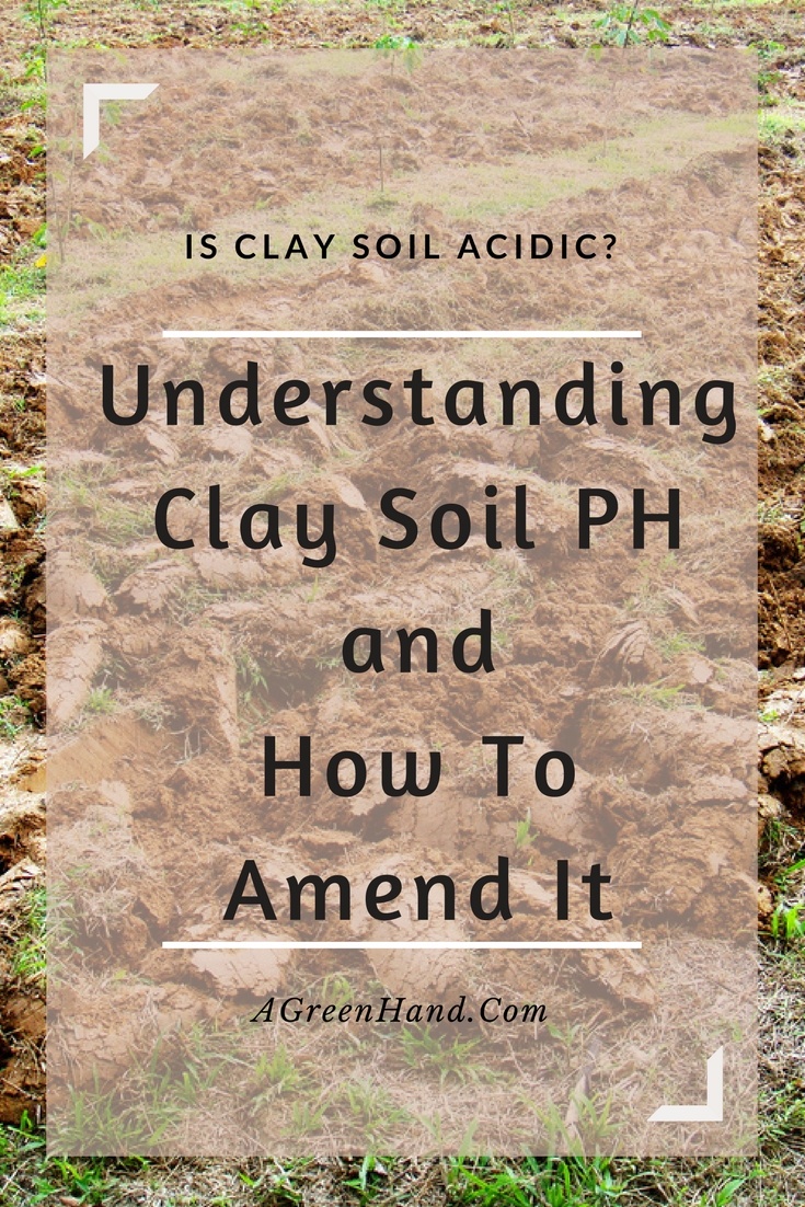 is clay soil acidic
