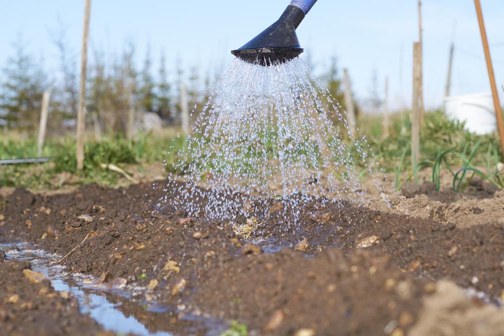 what-is-the-relationship-between-soil-texture-and-water