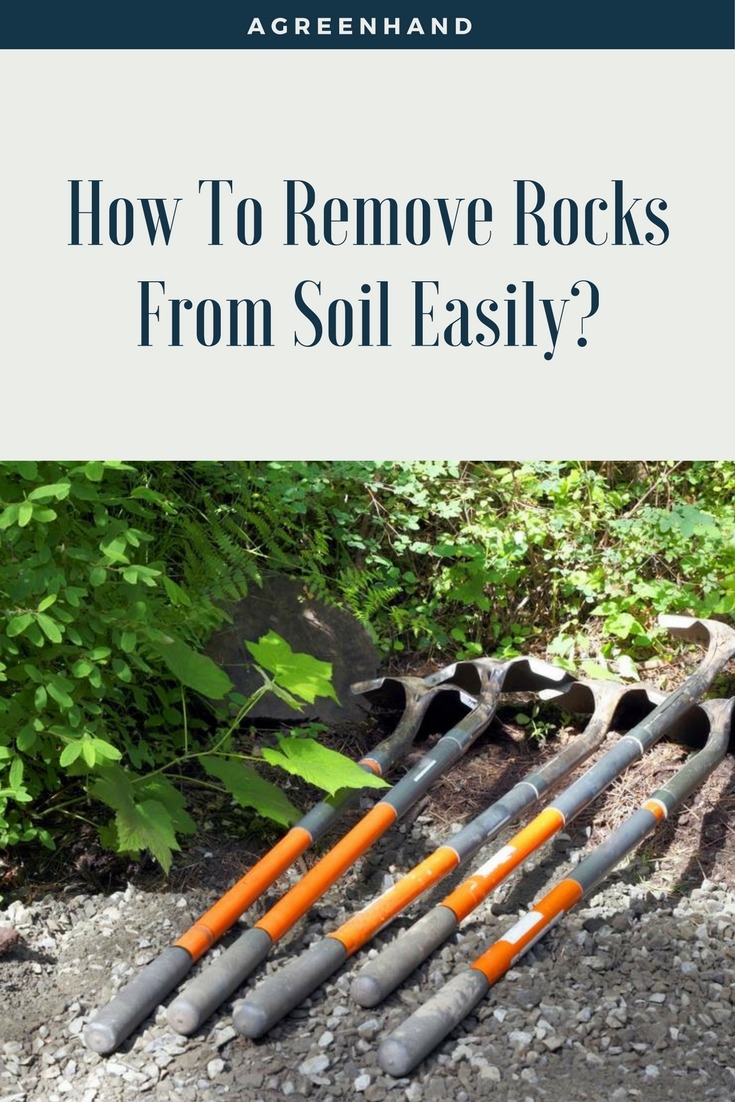 How To Remove Rocks From Soil Easily? A Green Hand