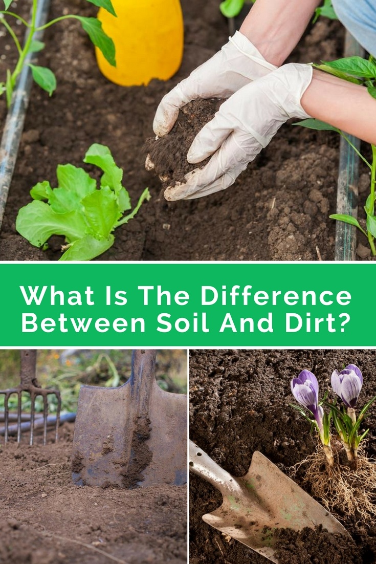 Difference Between Soil And Dirt