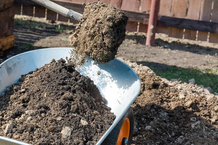 fill dirt vs topsoil