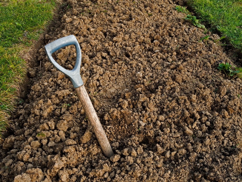 planting in clay soil