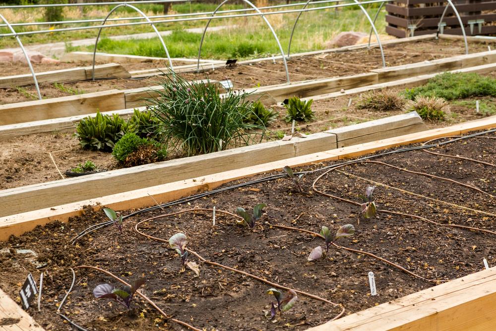 When Should You Use A Raised Bed Soil Calculator