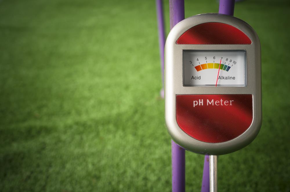 Best Soil pH Tester