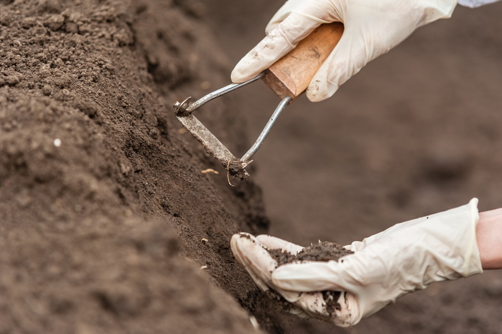 Is Clay Soil Acidic? Understanding Clay Soil PH and How To Amend It