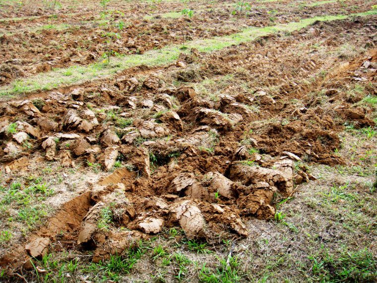 How To Use A Tiller To Remove Grass AGreenHand