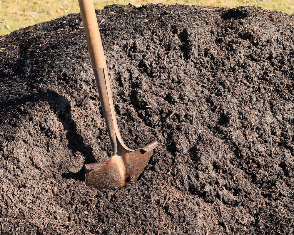 topsoil vs potting soil