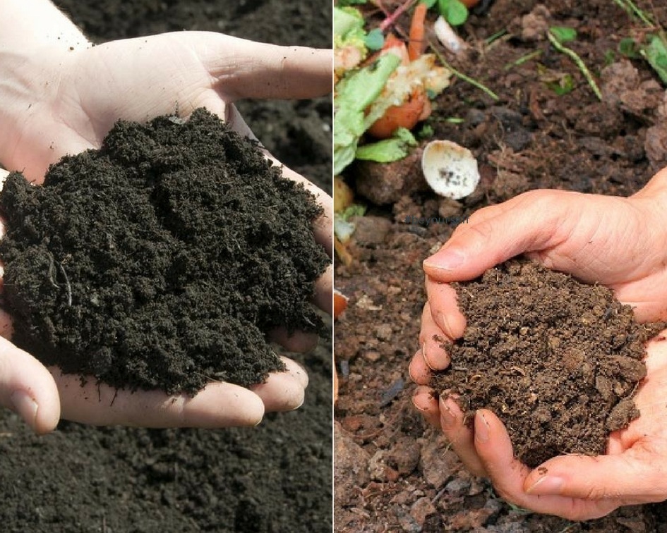 Topsoil Versus Compost? Garden Hacks A Green Hand