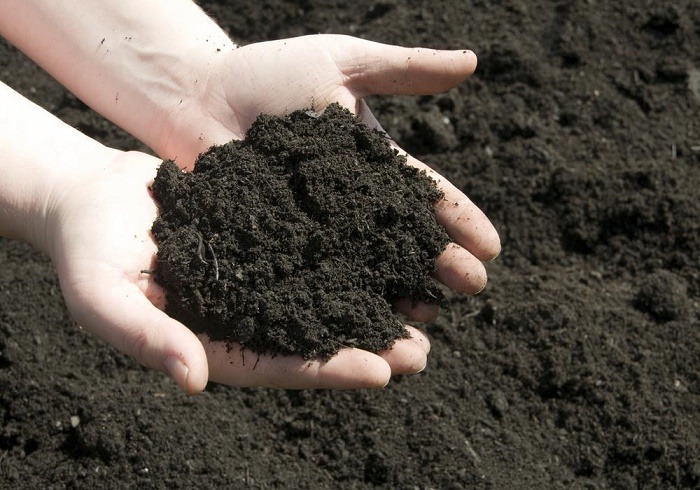 topsoil vs compost