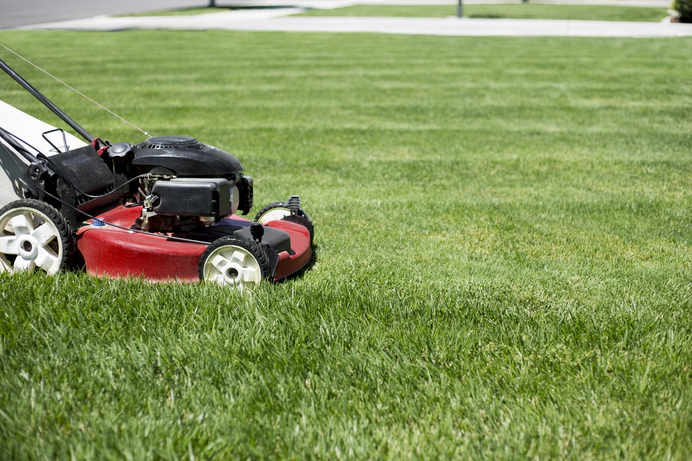 when to mow new sod