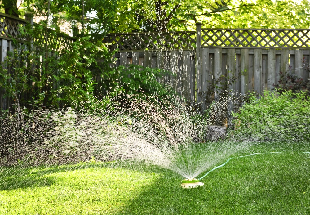 How Often To Water New Sod A Green Hand