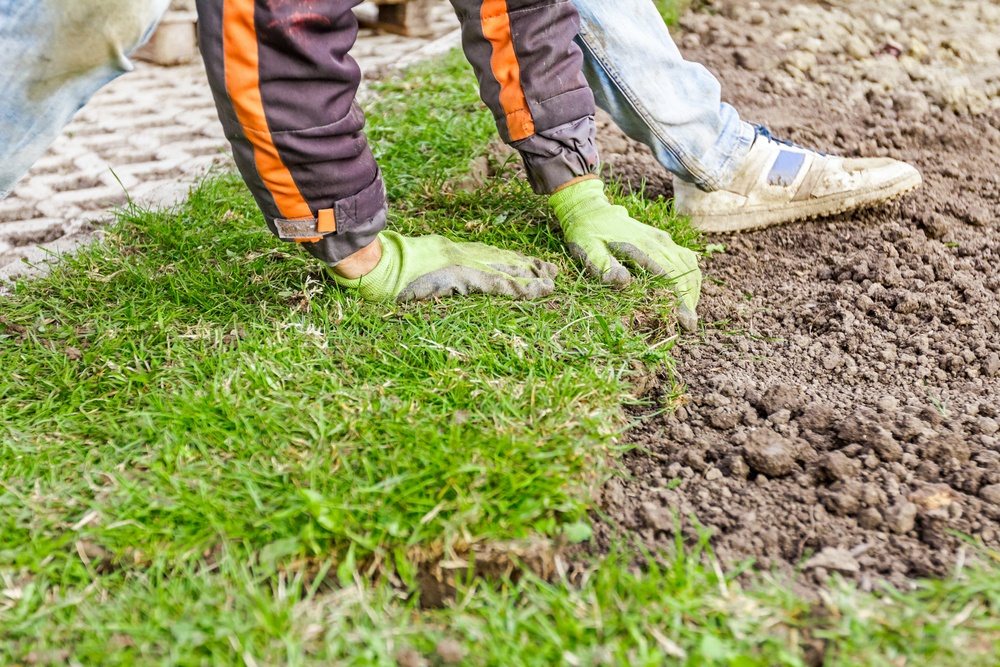 Laying sod