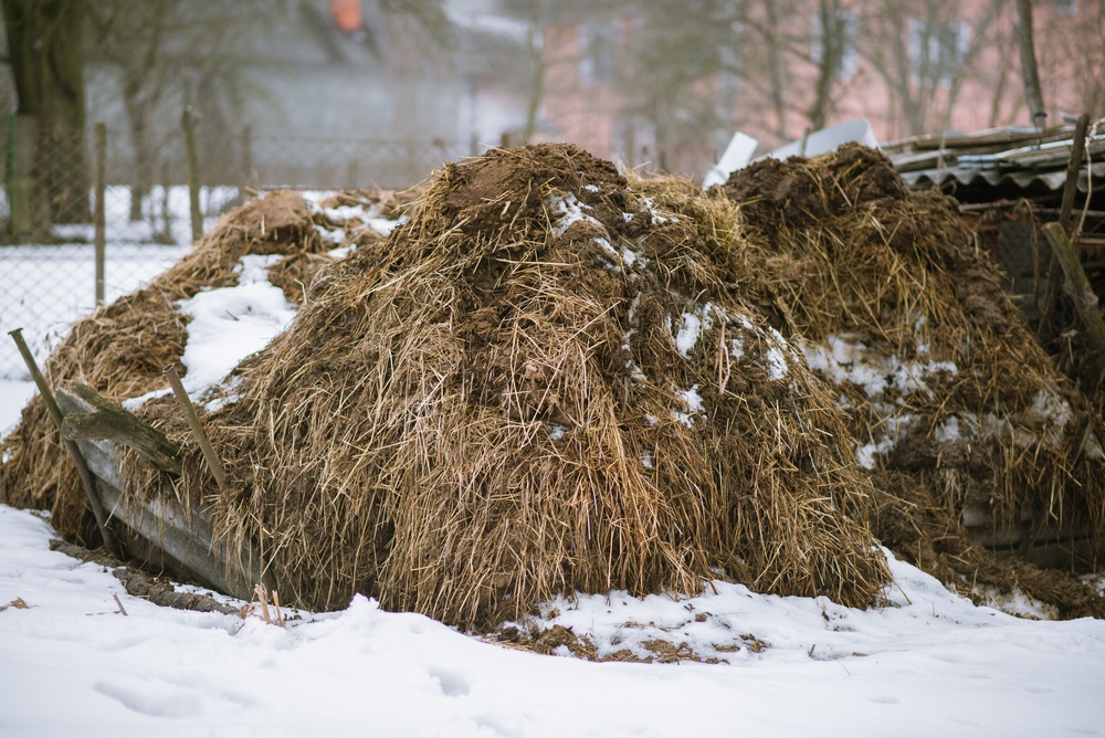 Composting In Winter