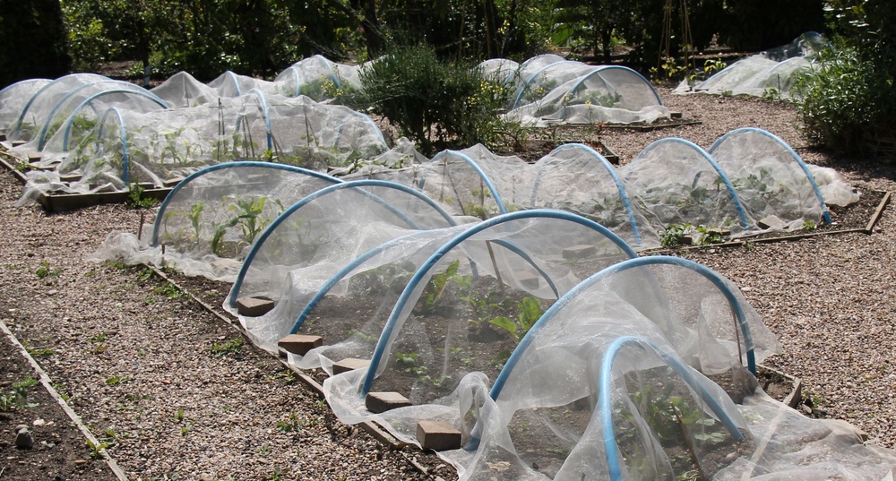 how to build a hoop house