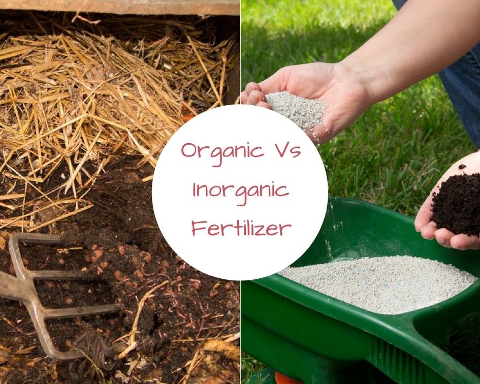 the-debate-over-organic-vs-inorganic-fertilizer-a-green-hand