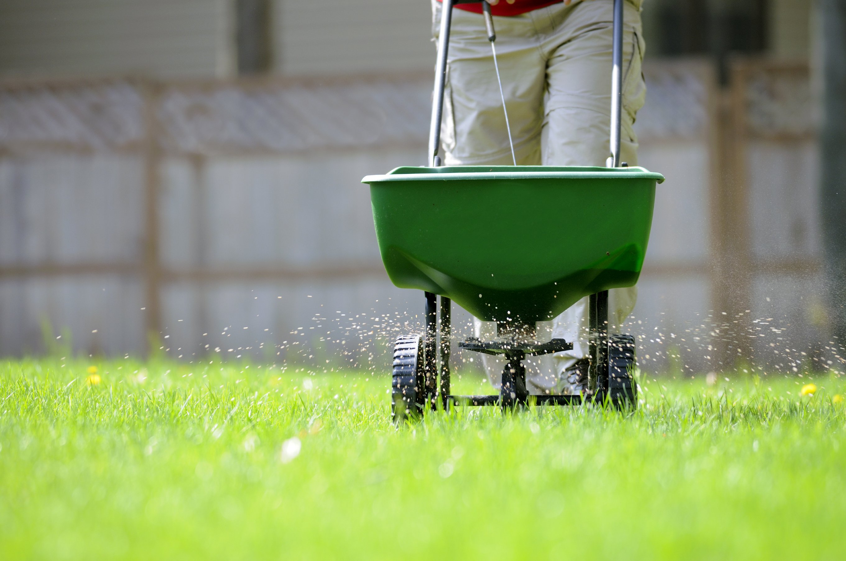 Lawn Fertilizing Services In My Area