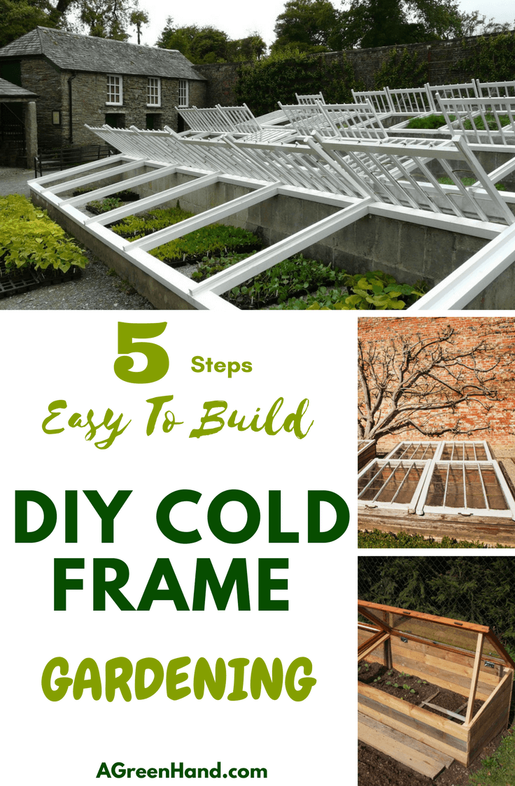 Easy To Build Diy Cold Frame Gardening Steps A Green Hand
