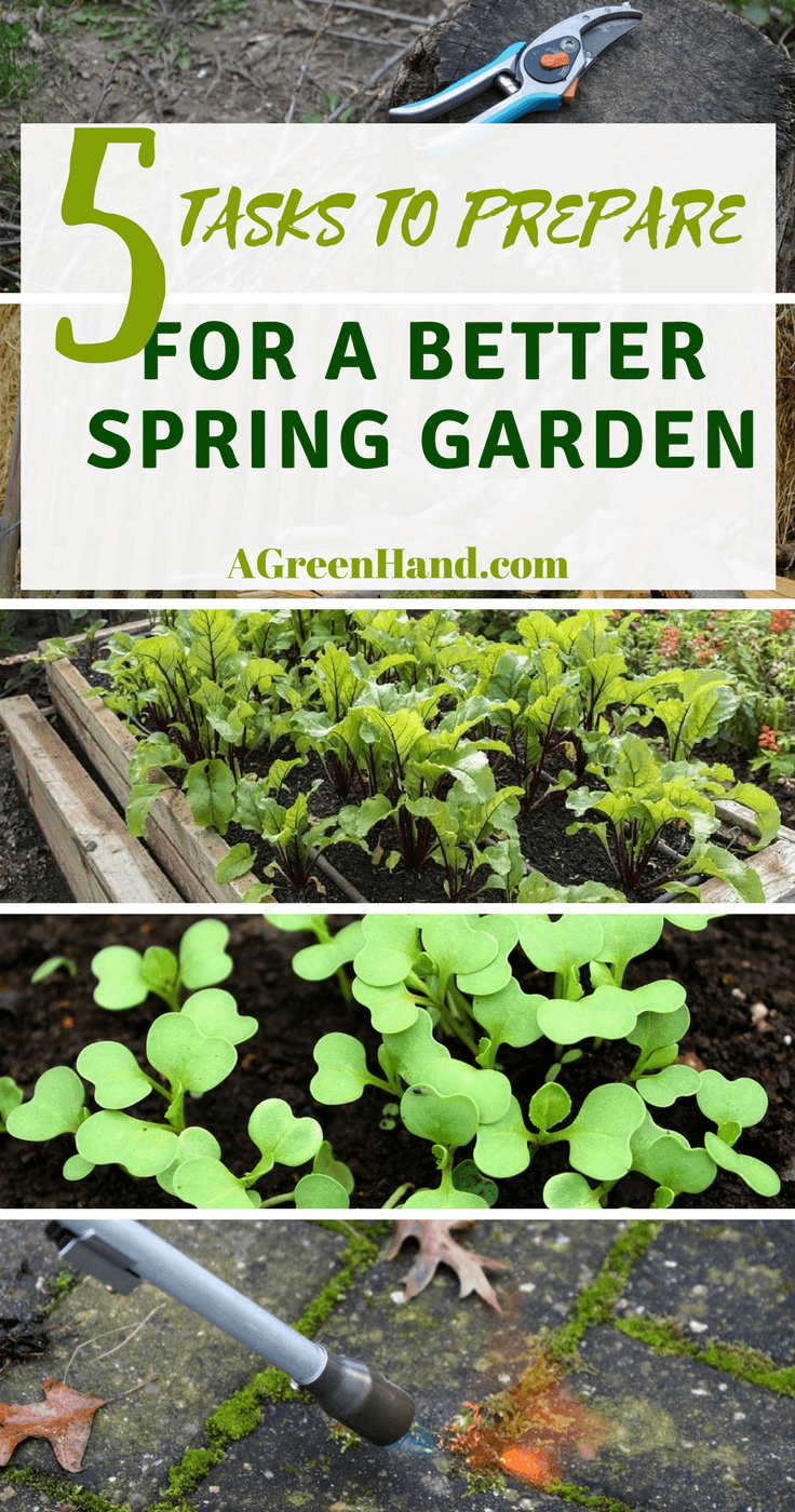 5 Tasks To Prepare For A Better Spring Garden #springgarden #gardening #vegetablegarden #agreenhand #herbgarden #flowerfarm #herbs #weedcontrol