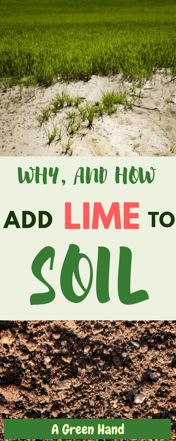 What Are The Benefits Of Adding Lime To Soil? A Green Hand