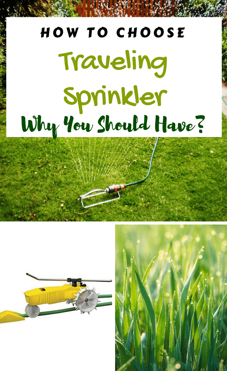 Are you always struggling to evenly water a large lawn? Good news! The best traveling sprinkler can make it lot easier and faster to water your lawn. #lawncare #wateringlawn #travelingsprinkler #buyerguide #gardening
