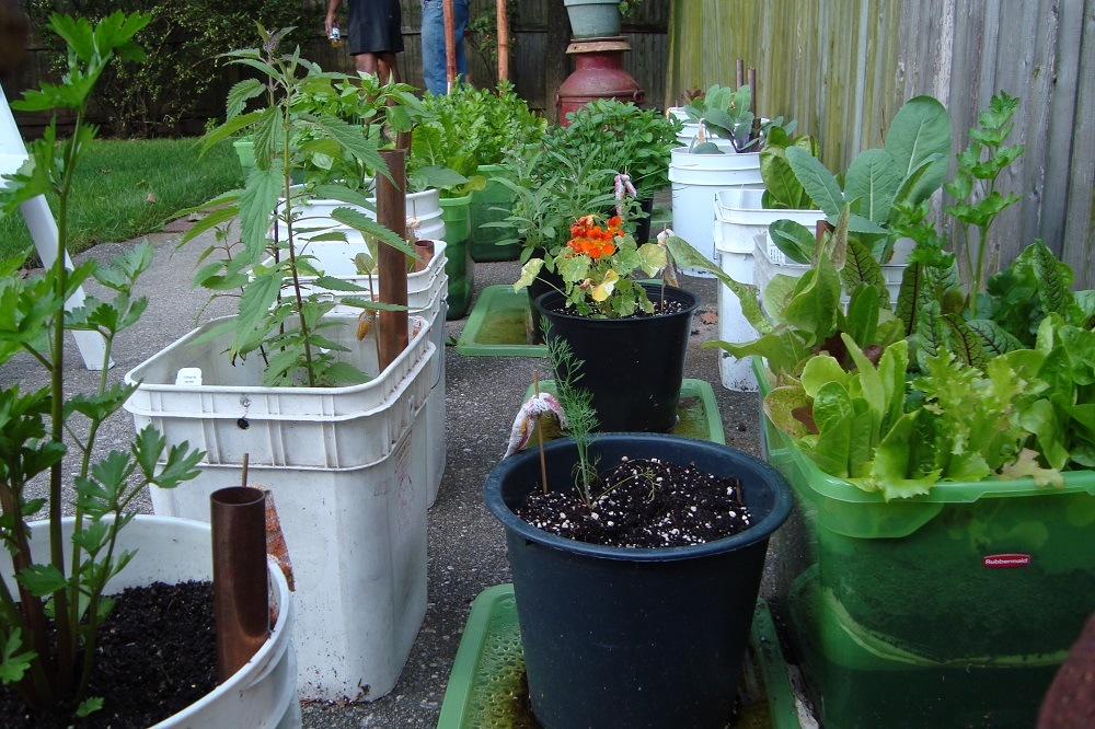10 Small Vegetable Garden Ideas - A Green Hand