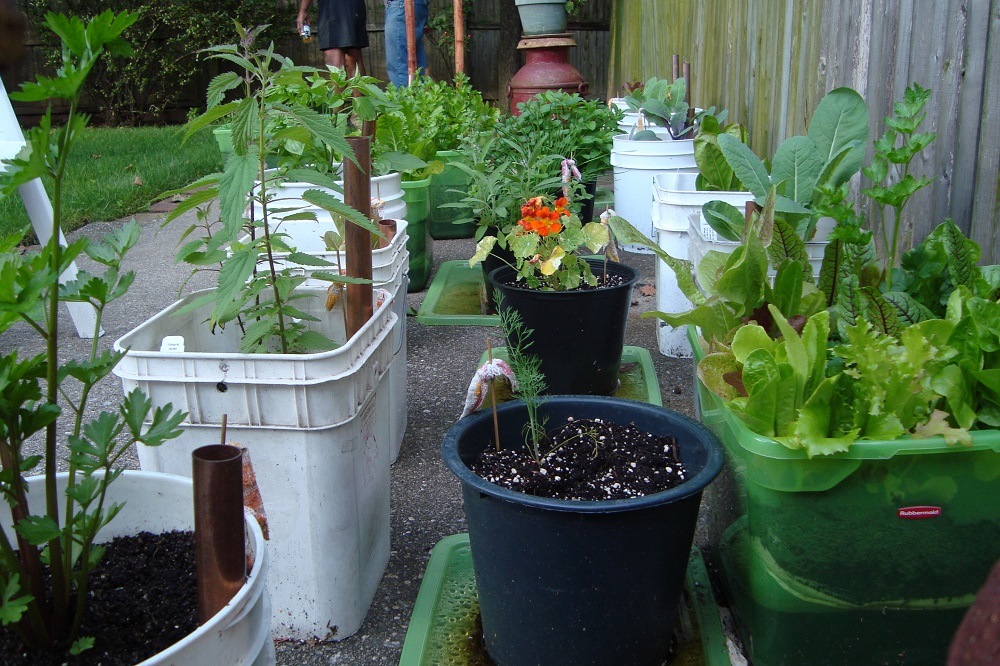 Small Vegetable Garden Ideas