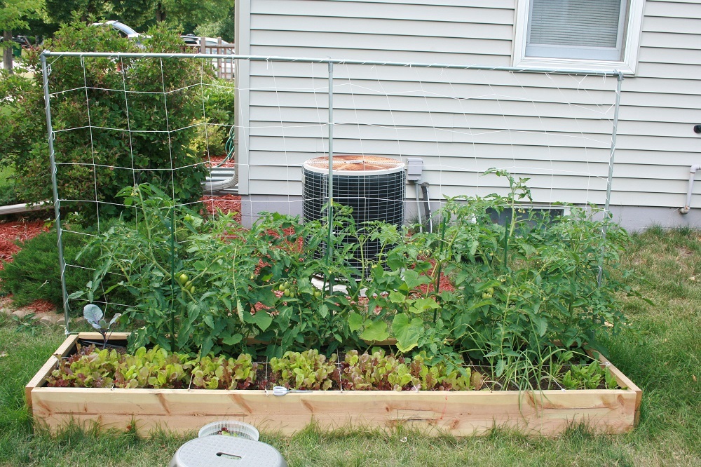 Small Vegetable Garden Ideas