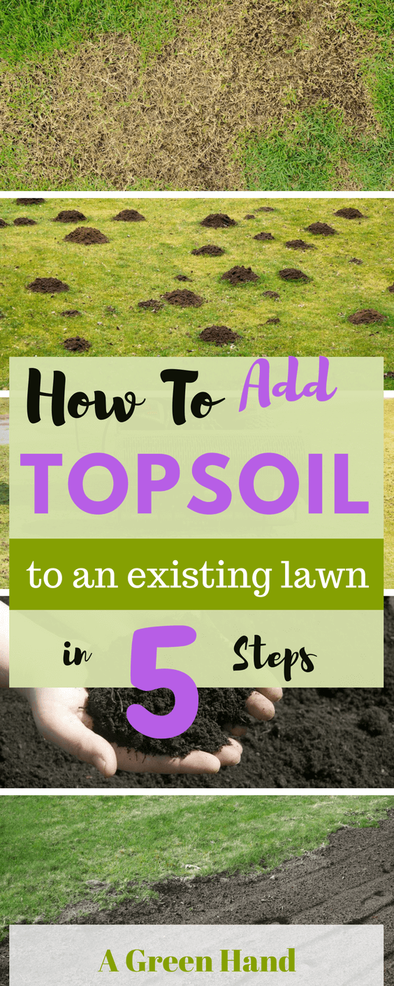 How to add topsoil to an existing lawn: 5 Easy Steps Guide. Adding topsoil to existing lawn can be quite challenging, and this is more so if you do not know how to do it well and do not use the right soil and tools #topsoil #springgarden #gardening #agreenhand