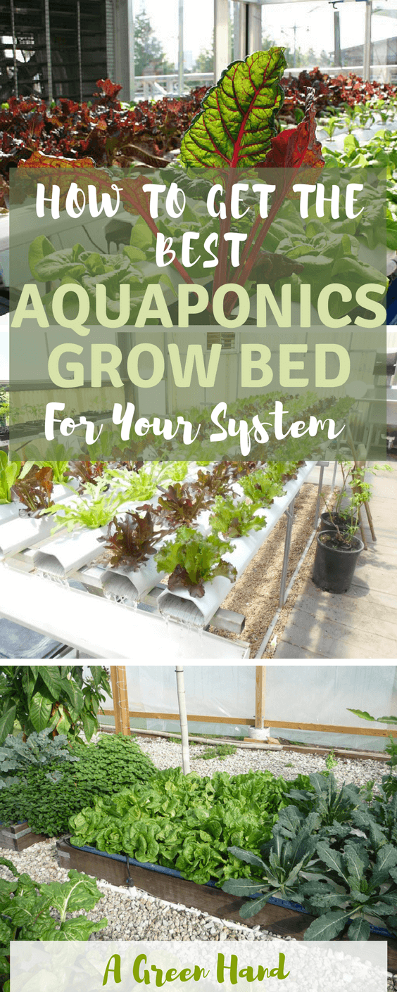 How To Get The Best Aquaponics Grow Bed For Your System #aquaponicsgrowbed #gardening #agreenhand #hydroponics