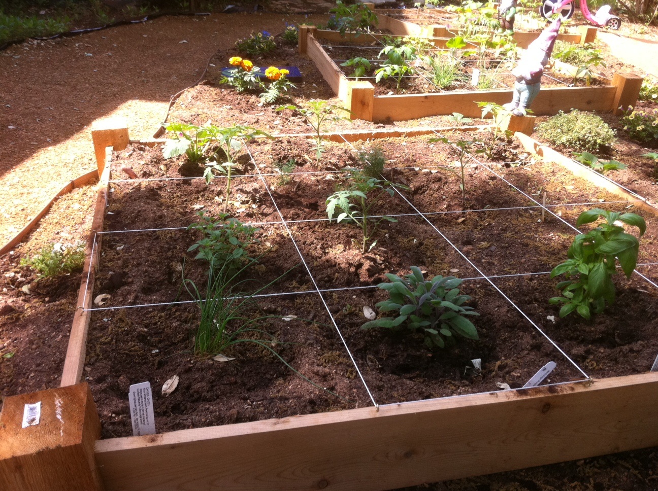 Small Vegetable Garden Ideas