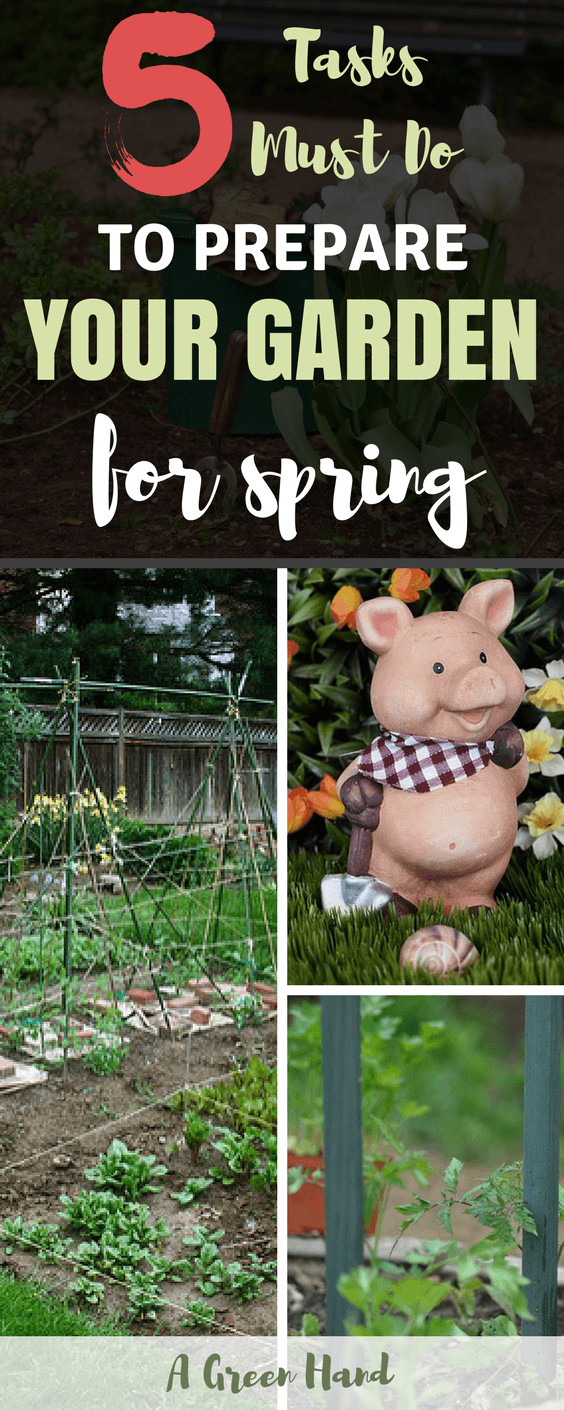 Spring is a wonderful time for your garden, but you must be willing to exert time and effort to keep things under control. There are certainly a lot of tasks and projects to do in your garden in spring. Some activities such as pruning your shrubs and trees are meant to help them transition from winter to spring. #gardeningchecklist #gardeningtips #gardening #agreenhand